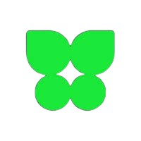 Kocho